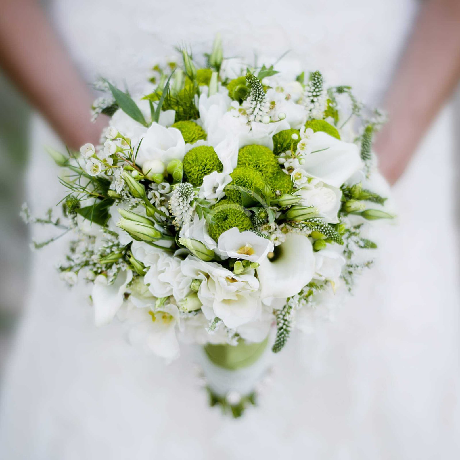 product-17-copyright